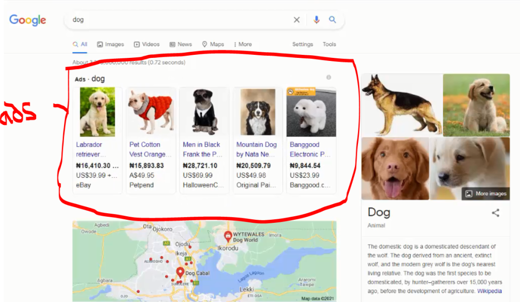 Google Commercial Viability