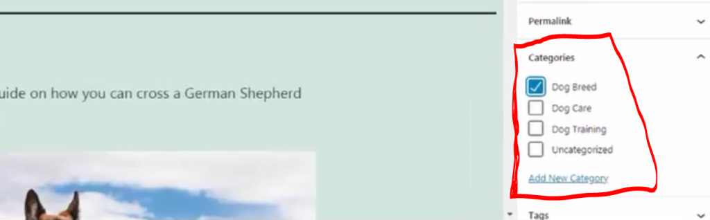 Select the right category of your post.